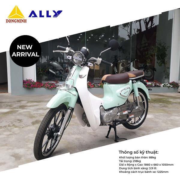 ALLY NEW 50 PHIÊN BẢN 2020  - XU HƯỚNG MỚI CHO NGƯỜI TRẺ HIỆN ĐẠI