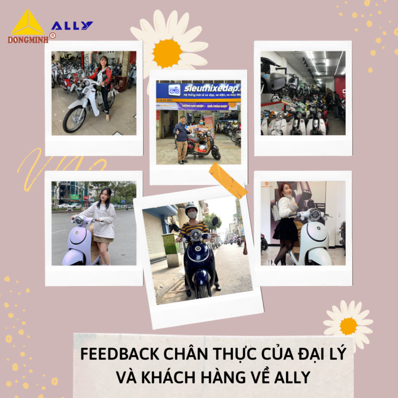 Feedback của Đại lý và Khách hàng về thương hiệu xe ALLY như thế nào?