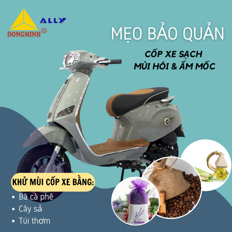 Cách bảo quản, khử mùi và giữ cốp xe luôn mới