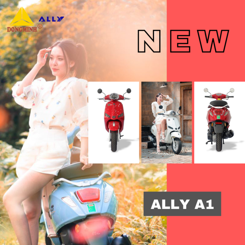 Bảng màu xe máy 50cc đa dạng của ALLY A1