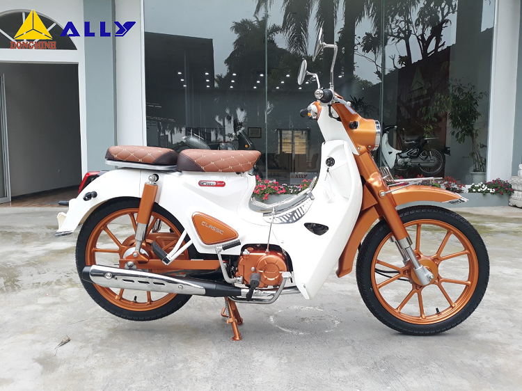 ĐÁNH GIÁ CHI TIẾT XE MÁY 50CC ALLY CLASSIC PHIÊN BẢN ĐỘ