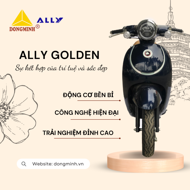 NGẮM ĐÔNG NGẮM TÂY KHÔNG BẰNG NGẮM ALLY GOLDEN 1 GIÂY