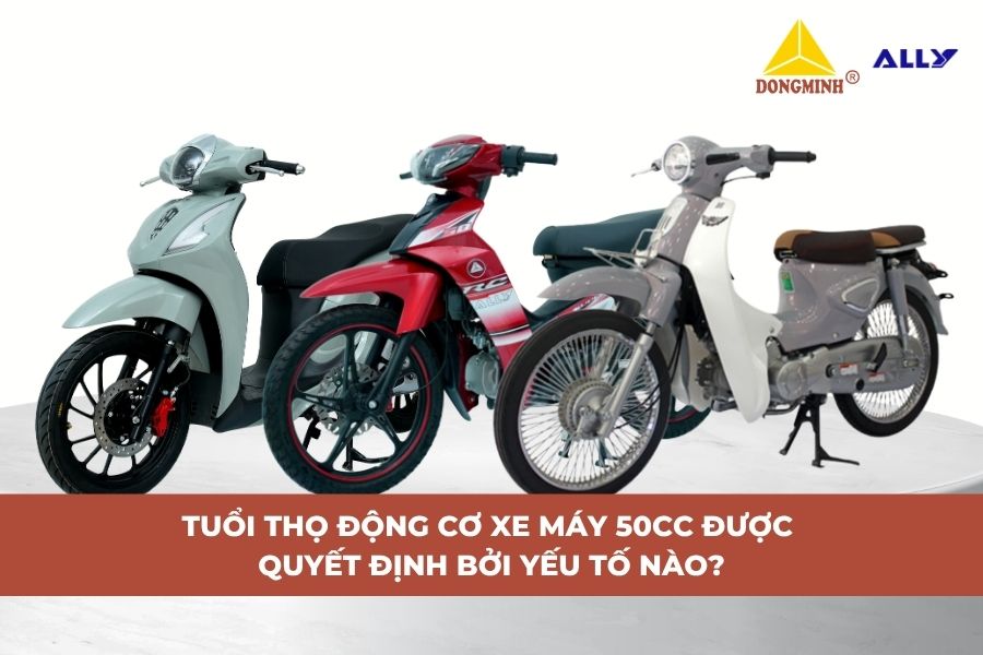 Tuổi Thọ Động Cơ Xe Máy 50cc Được Quyết Định Bởi Yếu Tố Nào?