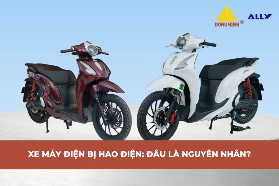 Xe Máy Điện Bị Hao Điện: Đâu Là Nguyên Nhân?